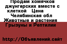 Продам хомячков джунгарских вместе с клеткой › Цена ­ 800 - Челябинская обл. Животные и растения » Грызуны и Рептилии   